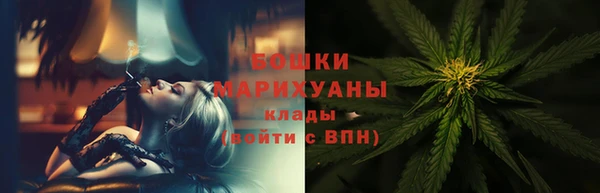 молекула духа Ростов