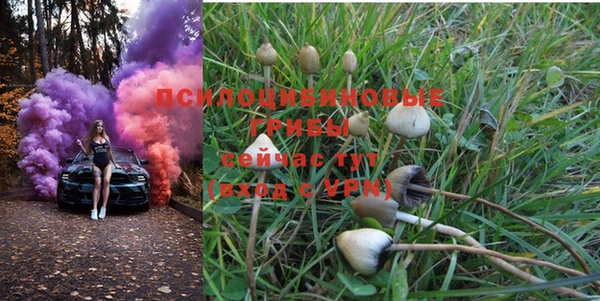 PSILOCYBIN Верхнеуральск