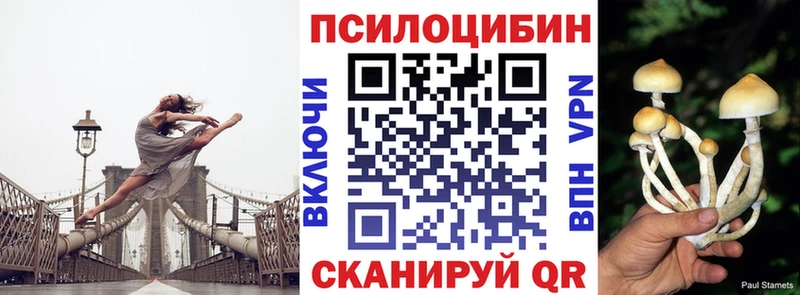 hydra зеркало  Каргополь  Псилоцибиновые грибы мухоморы 