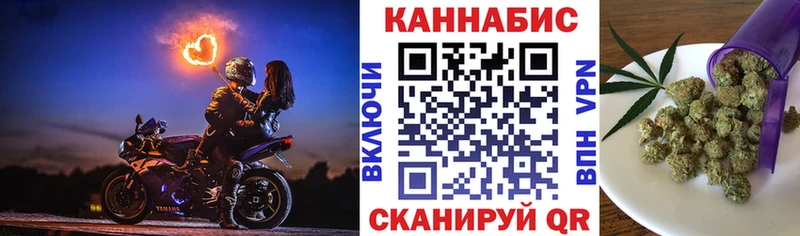 Конопля сатива Каргополь